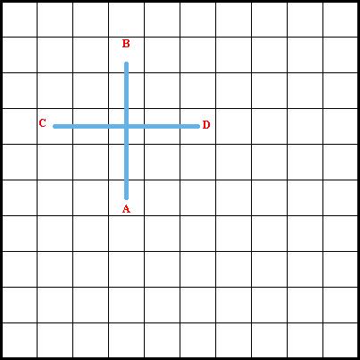 Double Straight Cross Stitch Diagram 1